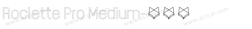 Roclette Pro Medium字体转换